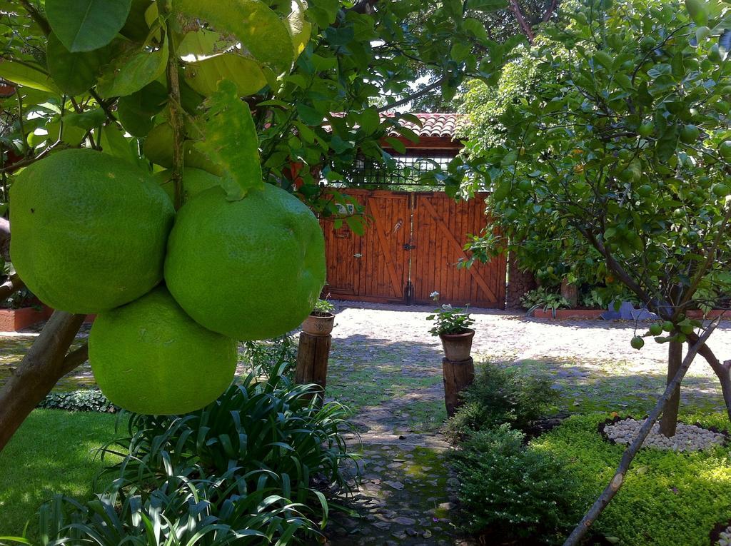 Casa Navacoyan Bed & Breakfast Malinalco Luaran gambar